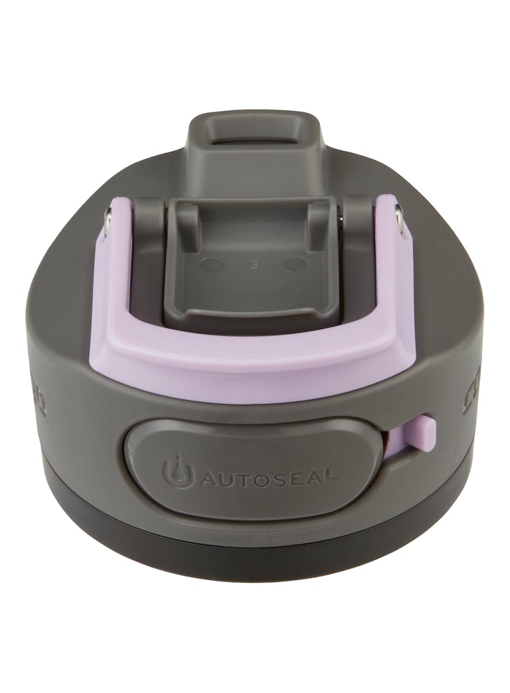 Contigo® Cortland Chill 2.0 Insulated Stainless Steel Water Bottle with AUTOSEAL® Lid, 24oz - Lavender