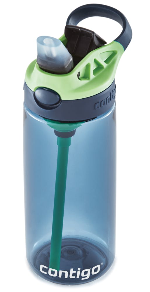 Contigo® Kids Cleanable AUTOSPOUT® Water Bottle, 20 oz - Blueberry & Green Apple