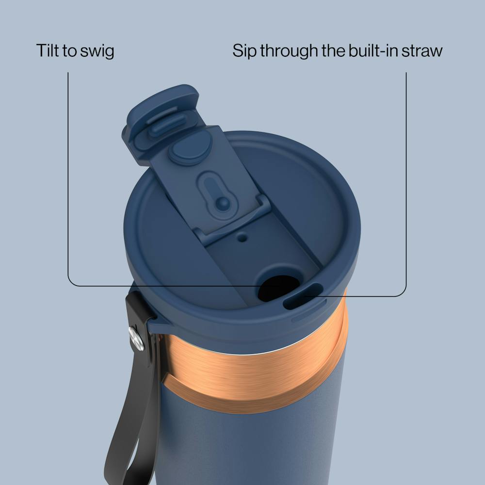 24oz DualSip Bottle - Abyss Bronze