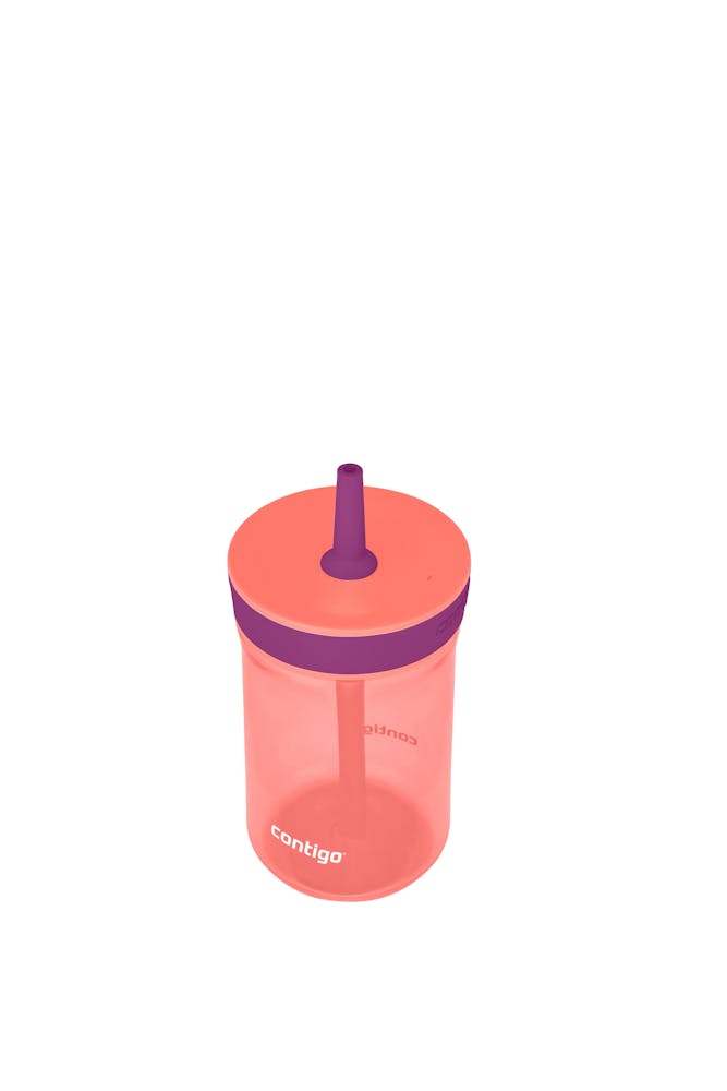 Contigo® Kids Leighton Spill-Proof Tumbler with Straw, 14 oz - Coral Grape