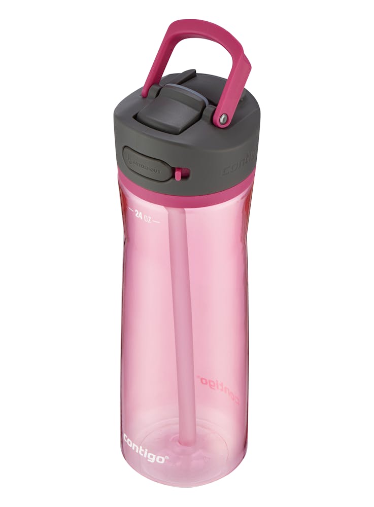 Contigo® Ashland 2.0 Water Bottle with AUTOSPOUT® Lid, 24oz - Dragon Fruit